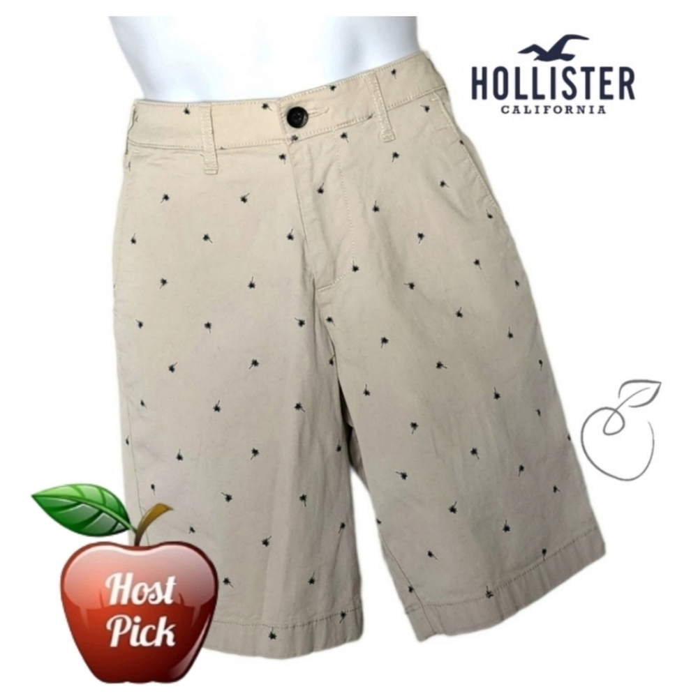 HOLLISTER MEN'S EPIC FLEX CLASSIC SHORTS SZ 28